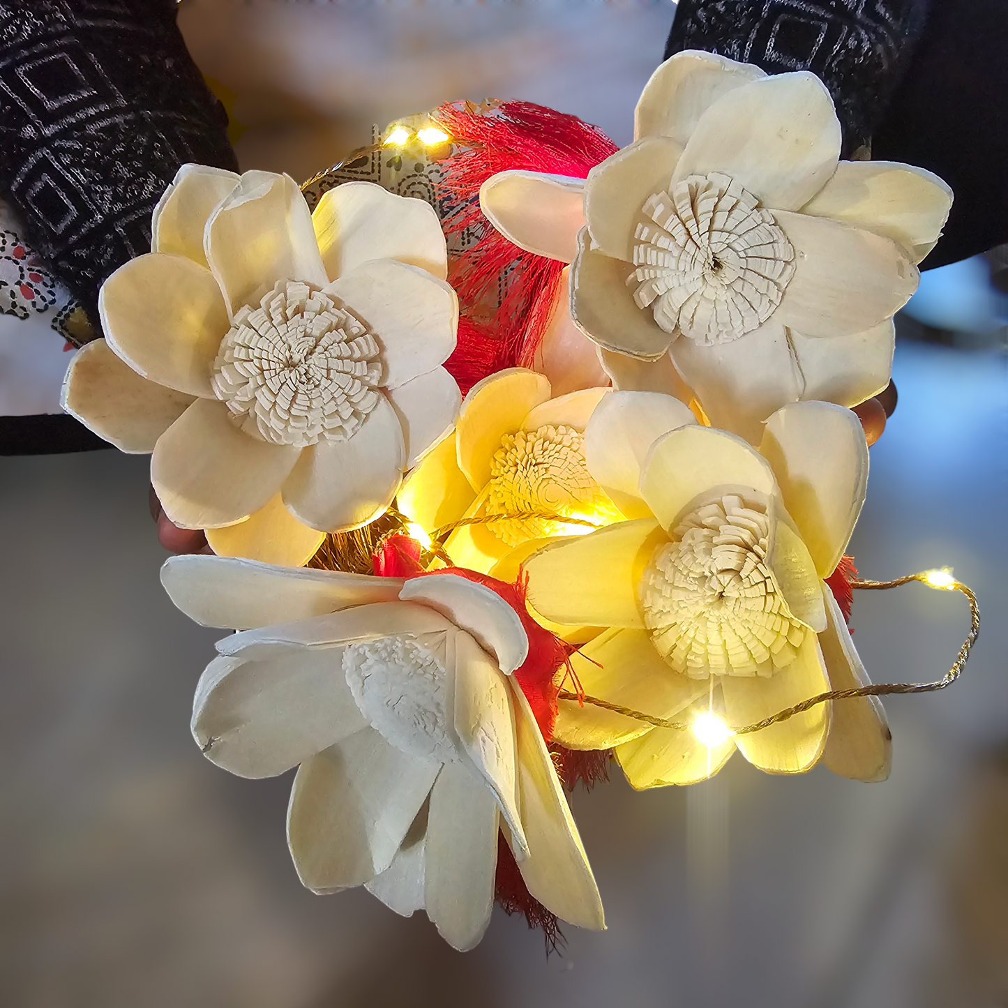 Red Christmas Shola LED Door Hangings (Set of 2)