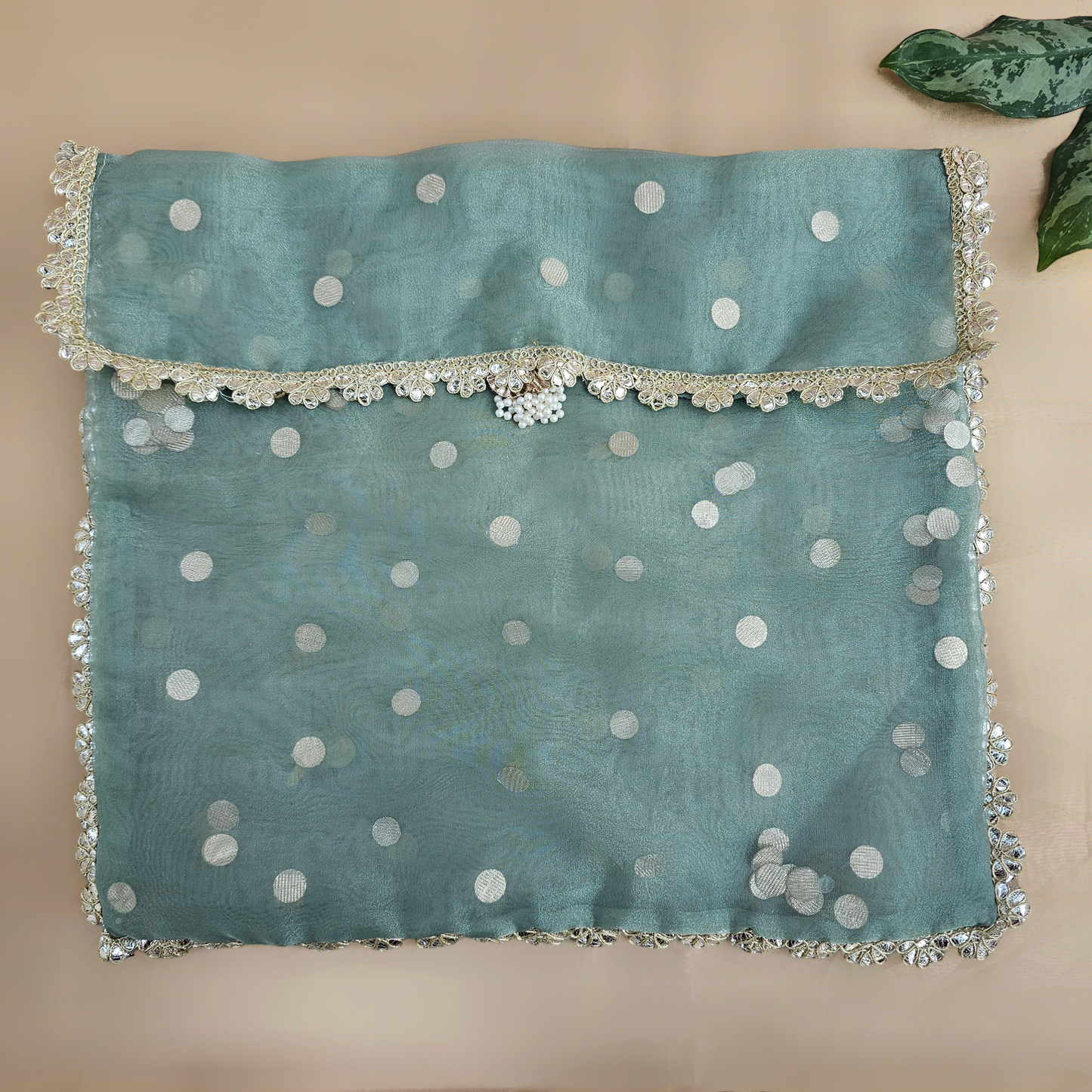 Tikli Organza Saree Cover