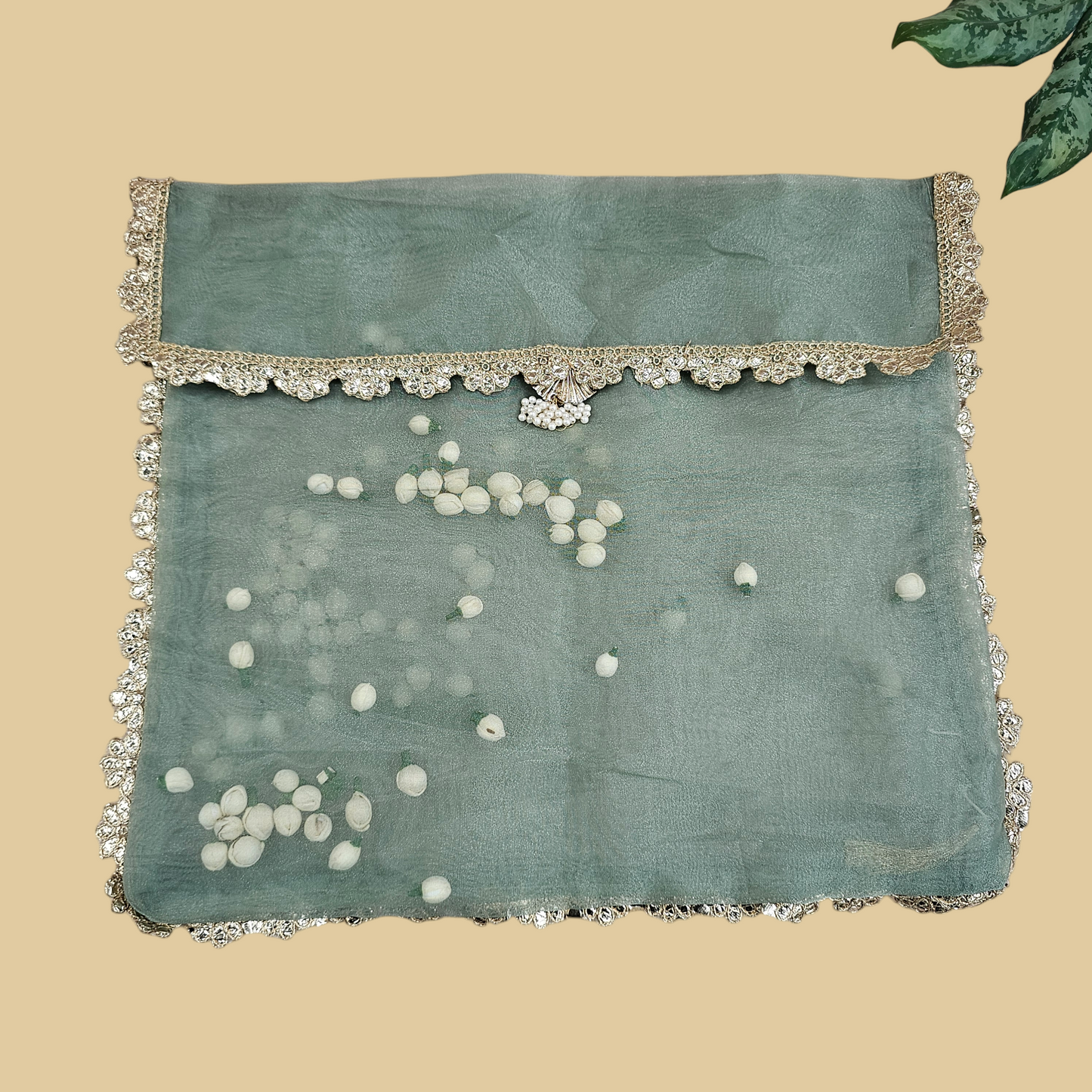 Shola Organza Saree Cover