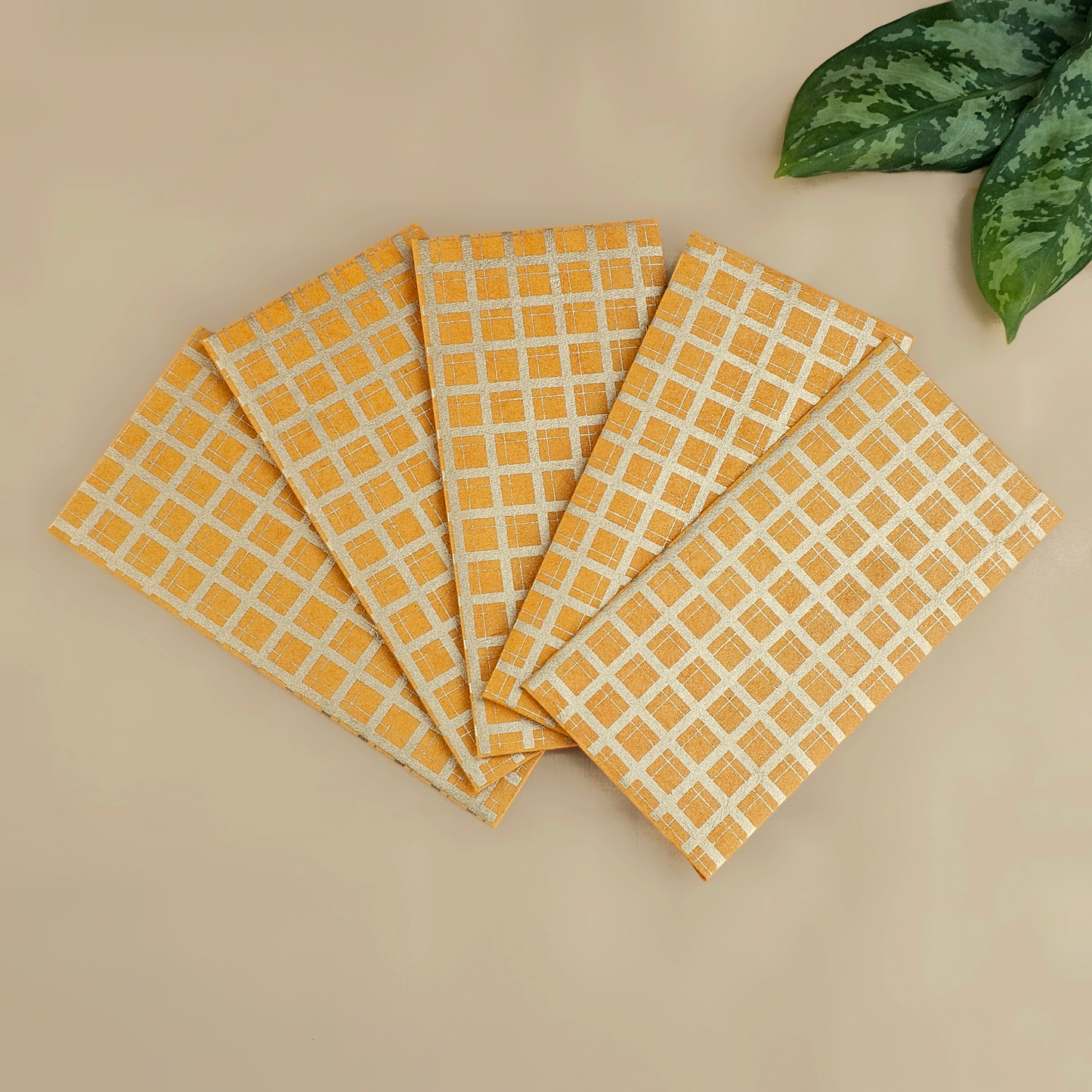 Checks Money Envelopes (Set of 5)