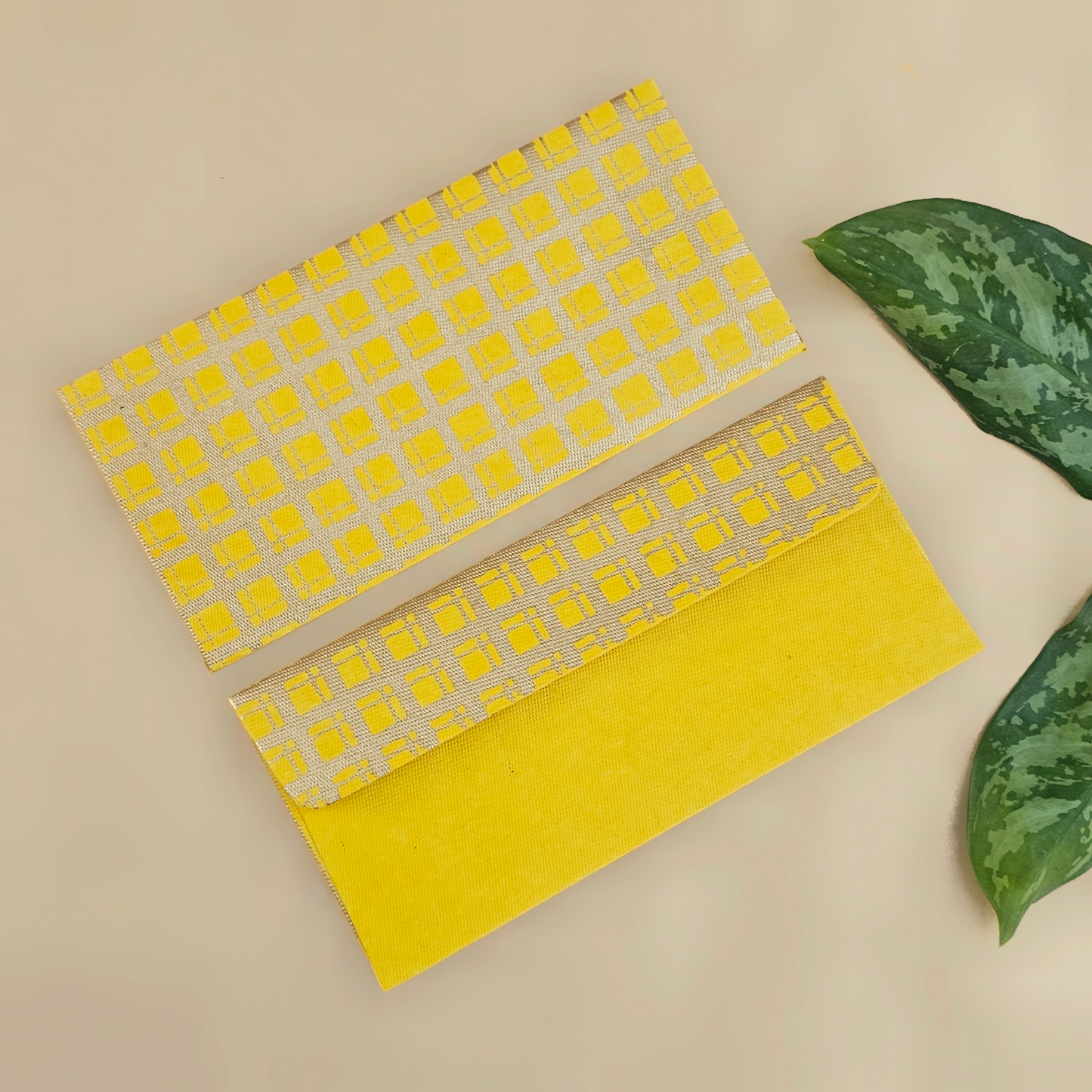 Checks Money Envelopes (Set of 5)