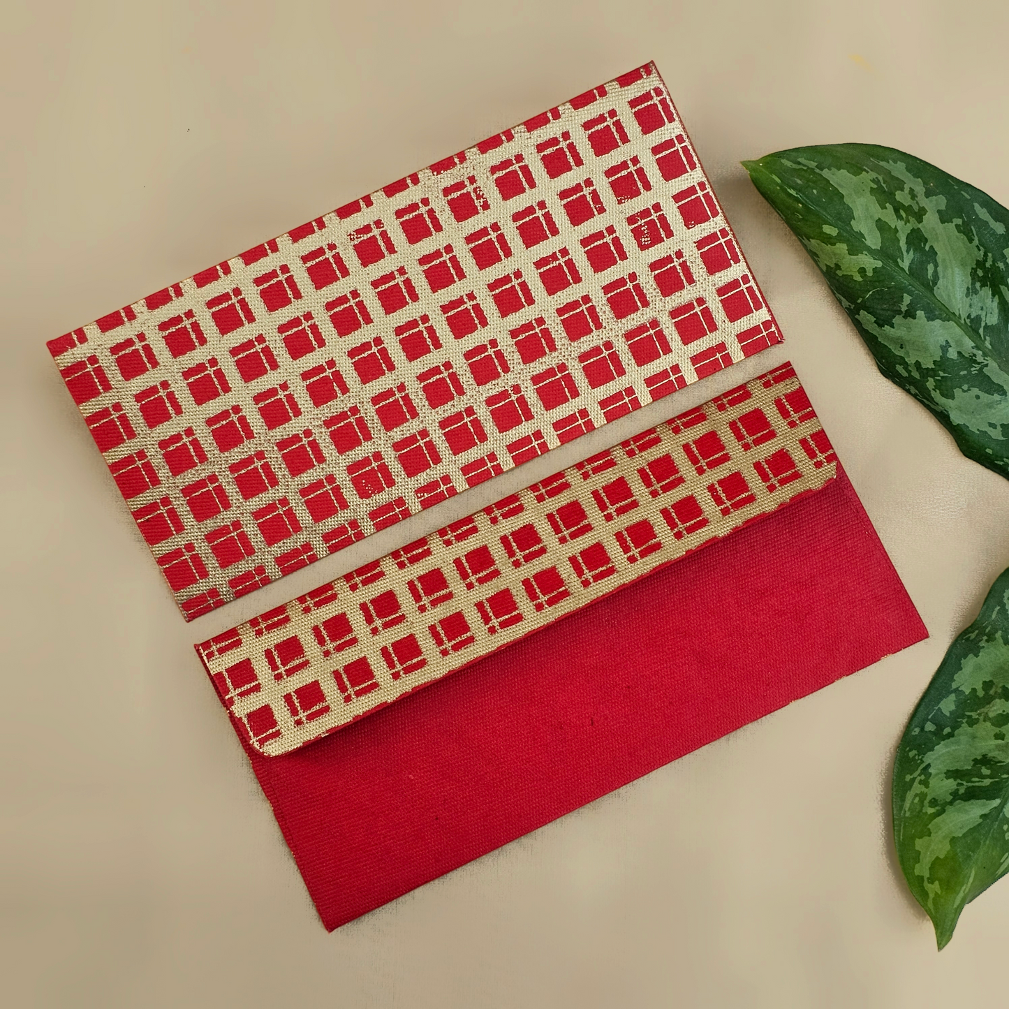 Checks Money Envelopes (Set of 5)