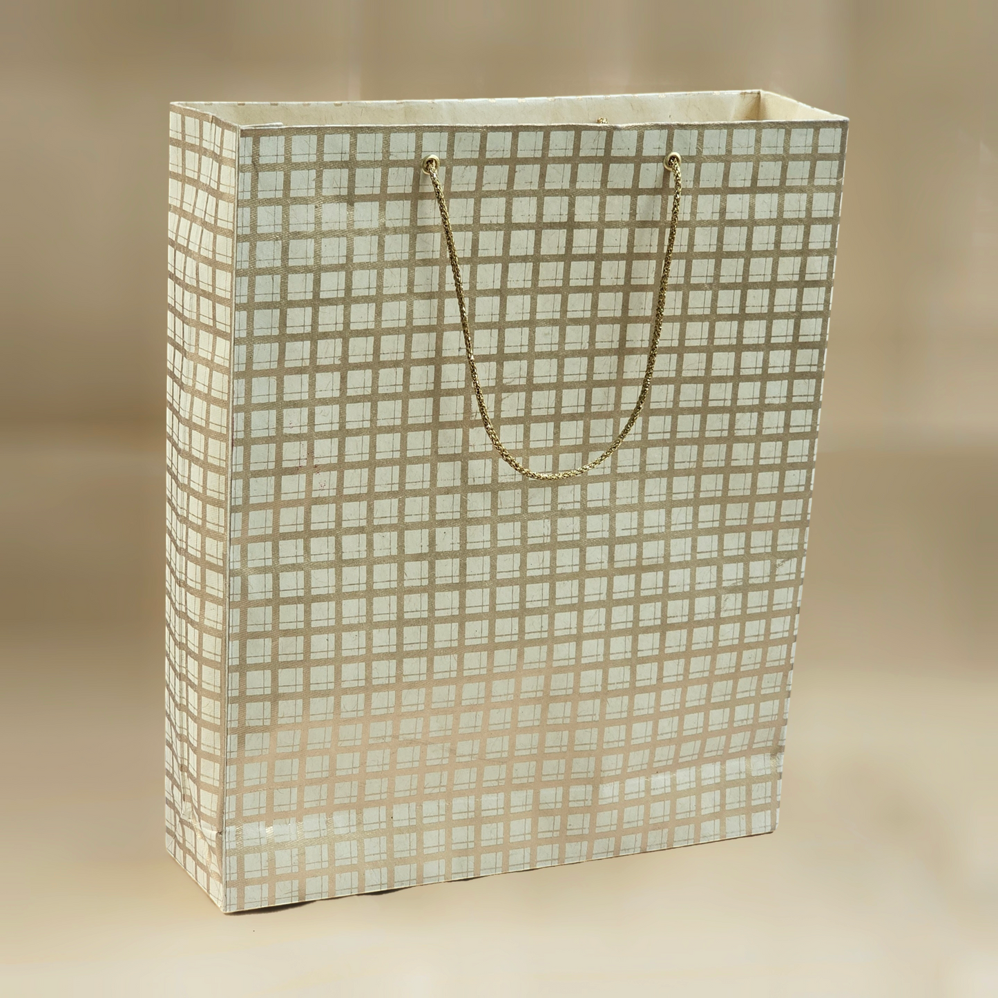 Checks Gift Bag
