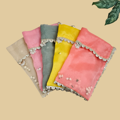 Shola Organza Saree Cover
