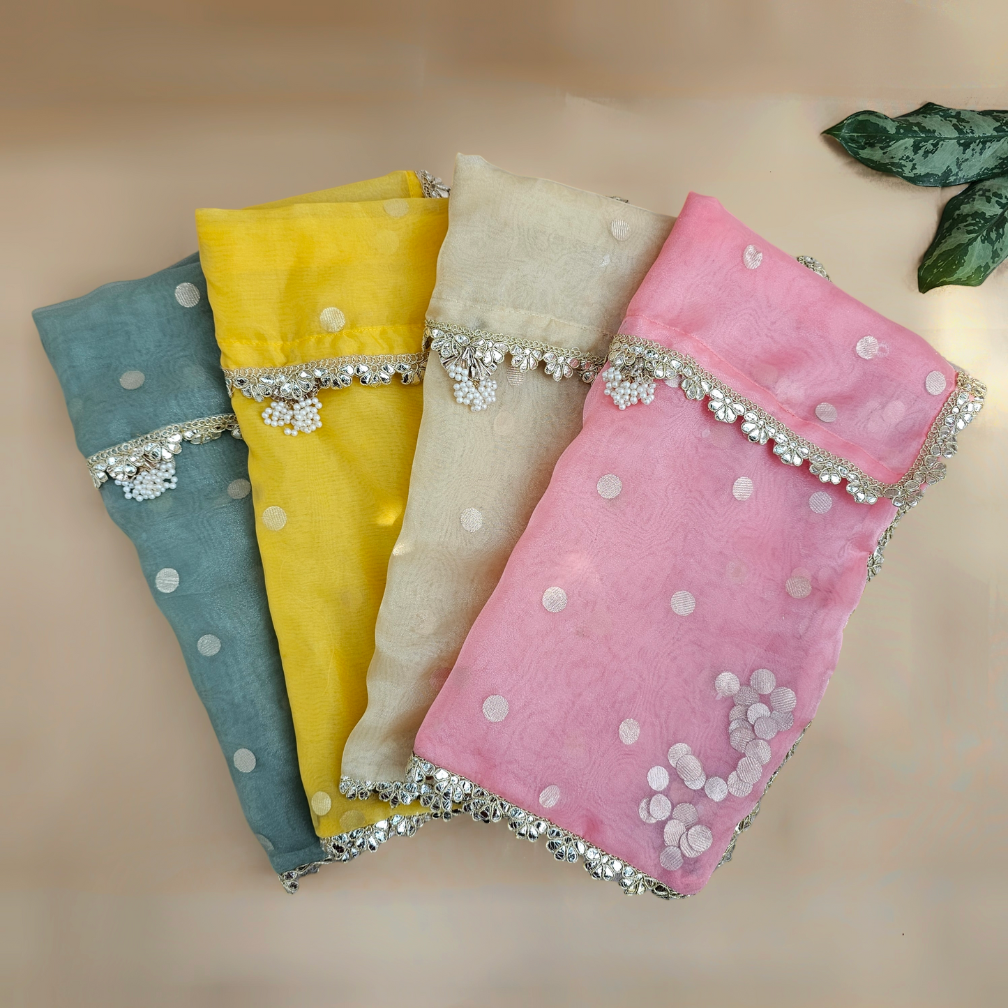 Tikli Organza Saree Cover
